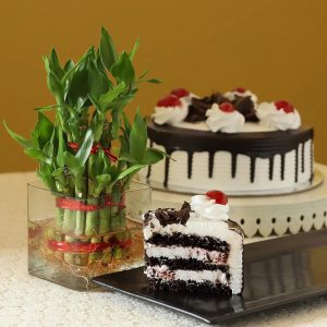 Black forest Cake With Two Layer Bamboo