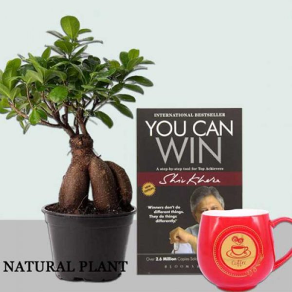 Natural Plant, Book & Coffee Mug Combo