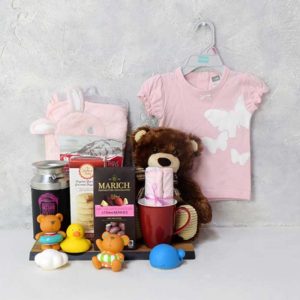 SOFT & SNUGGLY BABY GIRL GIFT SET