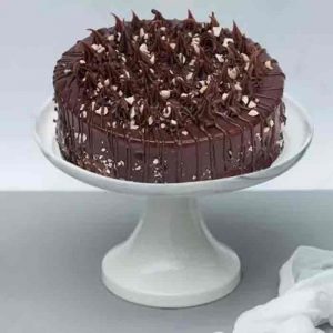 Crunchy Chocolate Hazelnut Cake