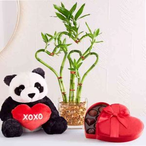 Sweet Heart Bamboo