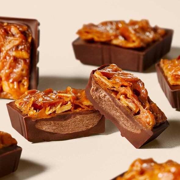 chocolate-florentines-selector