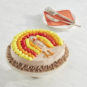 Carvel Turkey Ice Cream Cake