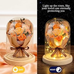 BORNA Preserved Flower in Glass Dome, Champagne Forever Eternal Rose Gift for Mother's Day, Birthday, Valentine's Day, for Mom Wife Daughter Girlfriend